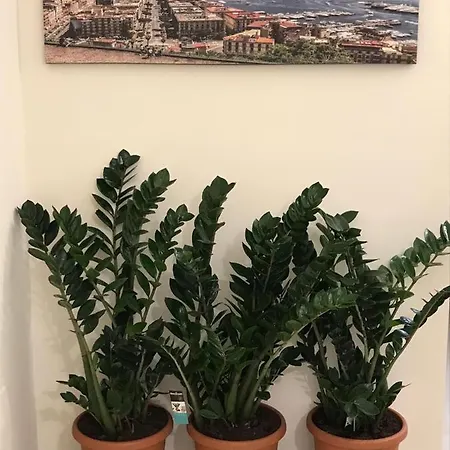 Costa Bed & Breakfast 4*